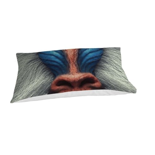 Housse de couette orang-outan imprimé 3D microfibre single 135x200 - 7