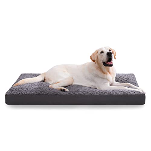 Amazon Best Sellers Best Dog Beds
