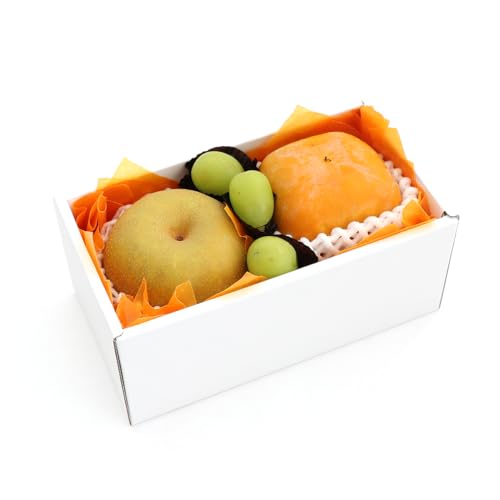 yYt[c X[MtgB AILt[c}CX^[I [VC}XJbg ` a] X[Mtg ʕMtg 蕨 j 䌩 a j wj Џj v[g 䋟 lΉ ̂Ή RC (X[Mtga)