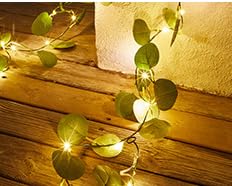 tB[g tFCNc^ K[h A ΂̃K[h t ACr[Cg nMOc^ Q ItBX   I   tFCNO[ XgOCg ԓ tFA[Cg lHϗtA J[e  t C~l[VCg d