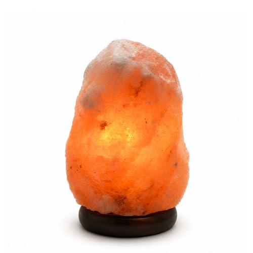 Lampe en Cristal de Sel d'Himalaya de Salt Range Pakistan de 2 à 3 kg - 100% Authentique Cristal de Sel - Sculpté à la Main – Câble et Ampoule Fournis - Base en Bois - Matière de Qualité - Zen’Light