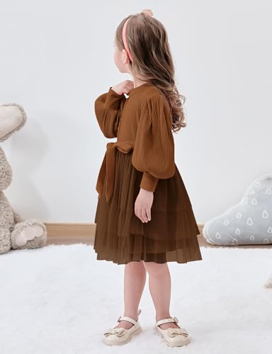 Toddler Girl Tulle Dress Puff Long Sleeves Tutu Dresses with Tie Belt for Princess Brithday Party 1-6T2