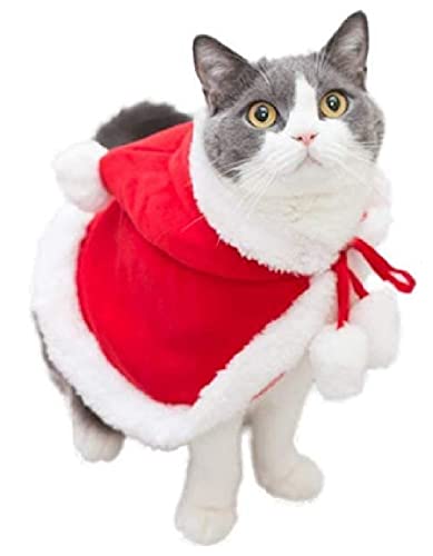 Lakymisy NX}X ybg ӂӂ L̕  ^ }g || Xqt 킢 NX}XP[v RX`[ T^ɕϐg RXv  lC LOBe p[eB[ H~ ybgϐg