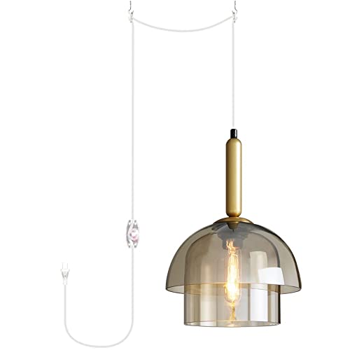 KAYYELAMP Contracted Design Plug in 15 Ft Dimmer Switch Clear Cord Hanging Lamp E26 Base Double...