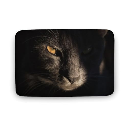 L   oX}bg \tg􂦂 z  փ}bg  O   傫 ~ Aj LN^[ @}bg   ʏ