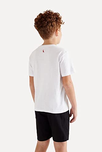 Camiseta Infantil Pica-pau Andy Art Reserva Mini