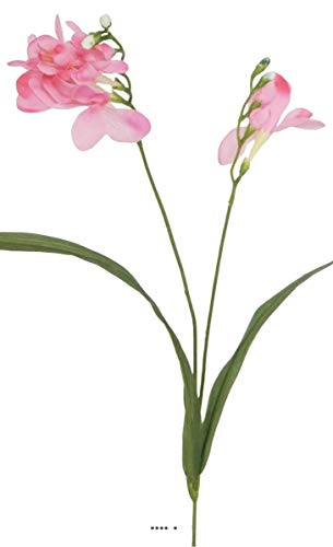 Artificielles.com - Freesia Factice en tige Fleur des champs H70cm idéale bouquet Rose - couleur: Rose soutenu Cover