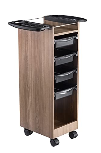 DOMPEL Carro de Mantenimiento, Almacenamiento Profesional Roma con Ruedas y 4 Cajones - Peluquería/Barbería/Perfumería/Cosméticos/Salón/Tatuaje - Made IN Brasil - Marrón/Madera Cover