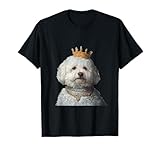 Bichon Frise Dogs - Bichon Frise Dog