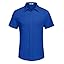 Royal Blue Royal Blue