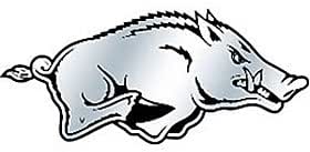 Amazon.com: Arkansas Razorbacks Silver Auto Emblem : Sports & Outdoors