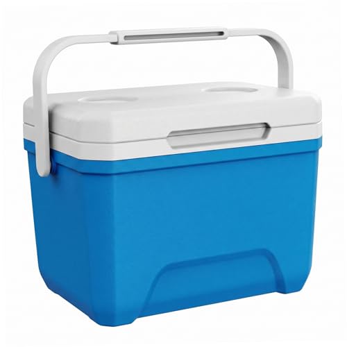 Glacière de camping 6 litres pour pique-nique et sorties à la plage