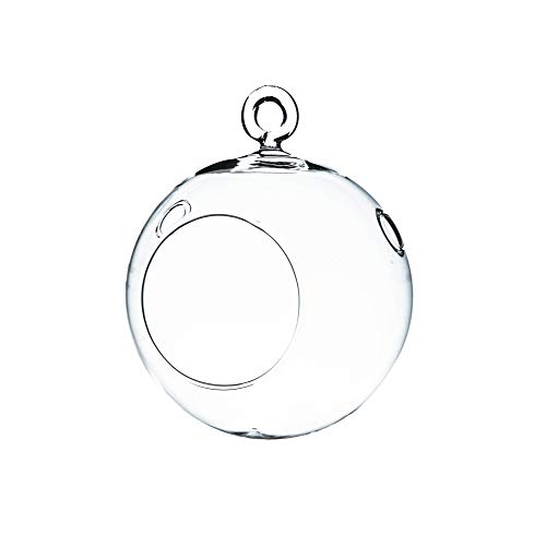 WGVI WGV Hanging Plant Terrarium/Hanging Candle Holder, Round Base with 1 Hook (6 Pcs)