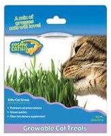 Kitty Cat Grass [Set of 3]
