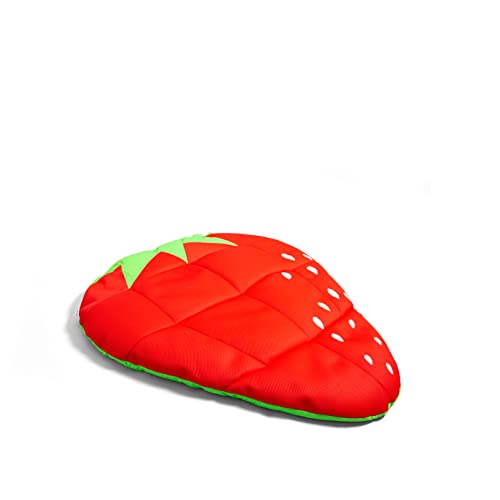 Big Joe Fruit Float No Inflation Needed Pool Lounger, Strawberry Double Sided Mesh, Quick Draining Fabric, 5 Feet Big #TOP6