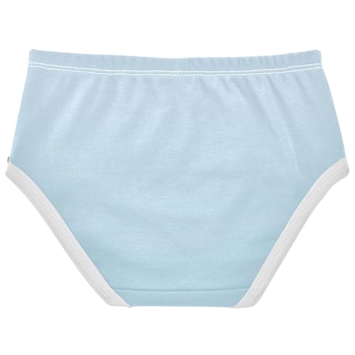 Joisal Cotton Girls Underwear Toddler Elegant Blue Light Gradient Cute Panties Girl Fun Print Briefs Girls Undies 2t2
