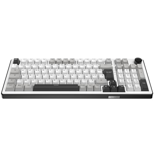 Clavier Gamer sans Fil Fini la Latence et les Touches Bruyantes Clavier Mécanique