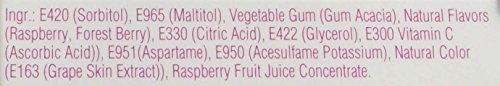 Jols Sugar Free Forest Berries Pastilles, 0.88 Oz Packets In A Blacktie Box (Pack Of 12) #TOP4