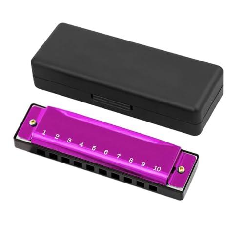 10n[jJ J[ vdl tKp Ǌy n[jJ(Purple)