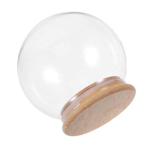 Cúpula de cristal de 13 cm con base de bambú natural para flores 2