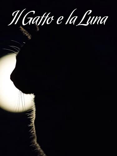  Il gatto e la luna