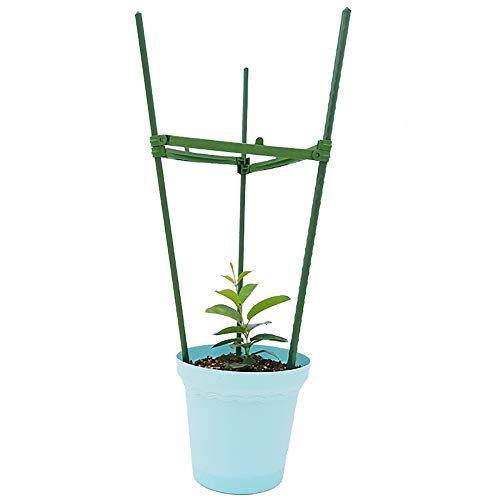 ZHANGZHIYUA Plantas en jaulas Ensambladas Tomate Jaulas en el ...