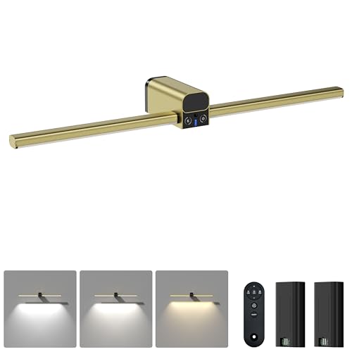 Lightbiz Picture Light for Wall 20inch, 10000mAh Rechargeable Battery Operated Cordless Dimmable Wall Lights for Picture on Wall with Remote Timmer, Picture Lights for Gallery Artwork, Paintings