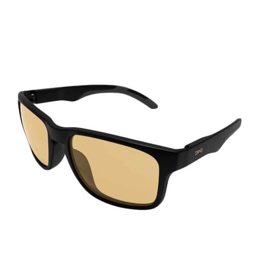 Dang Shades �_�� �V�F�C�e�B�[�Y ALL TERRAIN JP �I�[���e���C�� �W�F�C�s�[ �Ό������Y �|�[���[���C�Y vidg00503