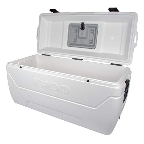 200 qt igloo cooler