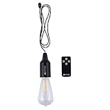 ナカバヤシ ヒッポス[HIPPOSS] LEDハンギングランプ リモコン付 Mサイズ ブラック HPS-LHR02-BK