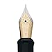 Erudite - Fine Nib (Black section Gold trim) -1pc Poly bag packaging immagine