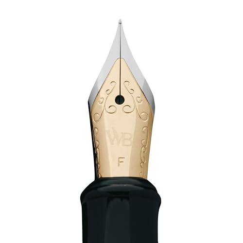 Stylo plume Erudite à plume fine idéal pour vos notes de bureau et votre journal intime