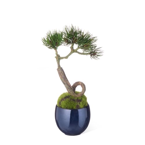 CUPBON     ~ tFCNO[ Jbv{