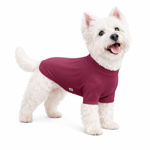 LoveLongLong Spring Summer Cooling Dog T-Shirt with UV Protection and Moisture-Wicking Fabric Blank Color Taro Purple XS
