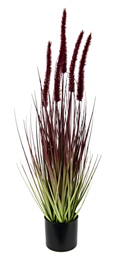 Flair Flower im Topf Gras Kunstpflanze Kunstgras Ziergras Grünpflanzen Grasbüschel Grasbündel Ufergras Grasbusch Solitärgras Herbst Deko Borstenhirse Panicoideae Süßgräser, 021112R, Rot, 65x16x16 cm