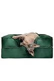 NOAH & PAW Small Dog Bed, 20x15x8 Inch, Cat Bed for Indoor Cats, Orthopedic Eggshell Memory Foam Infused with Cooling Gel, Waterproof Inner Cover Machine Washable (Velvet Collection)