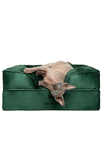 NOAH & PAW Small Dog Bed, 20x15x8 Inch, Cat Bed for Indoor Cats, Orthopedic Eggshell Memory Foam Infused with Cooling Gel, Waterproof Inner Cover Machine Washable (Velvet Collection)
