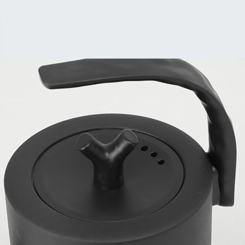 Bouilloire en acier inoxydable noir durable et verseuse de précision