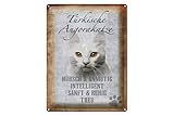 gatos angora turco [Servicio 100% amoroso] Con nosotros estás en primer lugar, con el máximo cuidado nos encargamos de todas tus preocupaciones. Vivimos diversión en el rendimiento, así como la comunicación. ¿Tiene preguntas o peticiones? No dude en ponerse en contacto con nosotros.