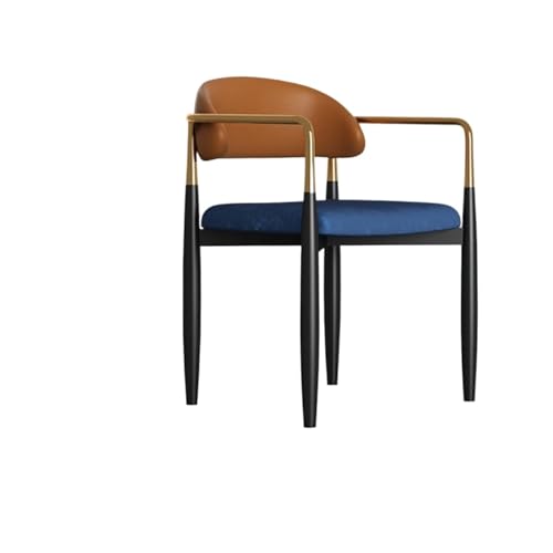 SLOQYNAPU Sillas De Comedor Ligeras De Lujo, Respaldos for El Hogar, Mesas Y Sillas De Comedor Modernas Y Sencillas, Mesas Y Sillas De Té De Alta Gama, Sillas De Negociación, Lujo Liviano(Model 6)