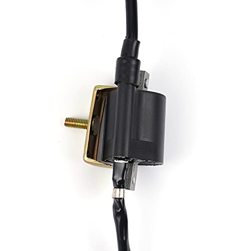 Amhousejoy Ignition Coil for 50cc 110cc 125cc Pit Bike ATV Lifan Loncin Fit for TAOTAO Fit for ROKETA Fit for Kazuma SDG SSR - Thumbnail 2