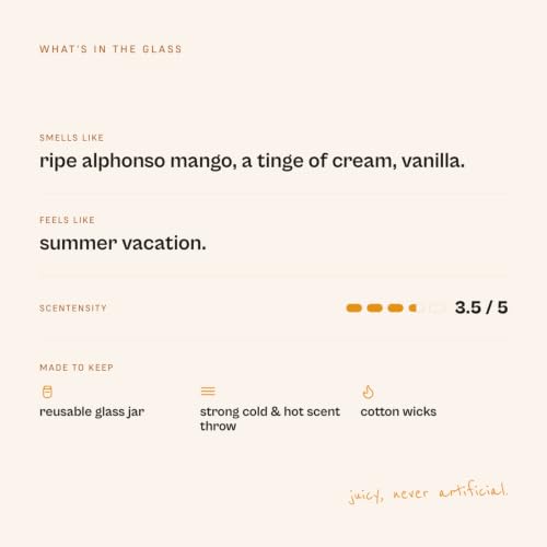 Image of RAD LVNG OG Mango Shake Grande | 350g Soy Wax Scented Candle | 45hr+ Burn | Gel Wax Cubes | Silicone Lid | Hand-Poured | Mango, Sweet, Fruity | Gifting & Home Decor