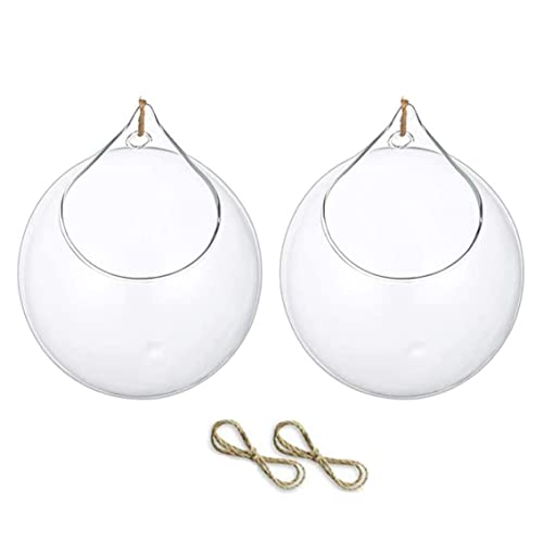 Gcroet 2pcs Suspendus Terrarium Succulents Planter Globe Suspendu Plantes en Verre Terrarium...