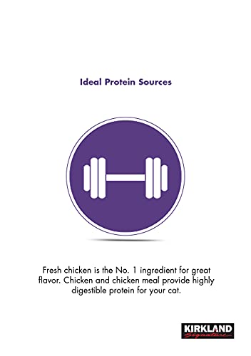 Alimento Para Gato, Pet Products Imagen adicional