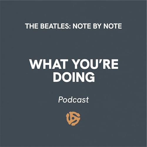 What You're Doing - Episode 82 with Raymond Schillinger (You Can't Unhear This)