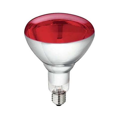 5 piezas de bombillas infrarrojas de vidrio templado Cajou Philips 250W rojas Cover