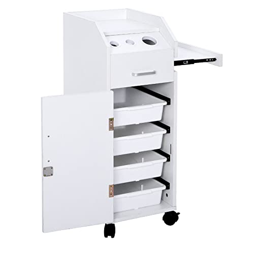 Hair Salon Trolley Rolling Cart, Hair Salon Storage Cart,Hairdressing Tools Station Mobile Makeup Case, SPA Utility Trolley (White)Beauty Salon Trolley Storage Cart Hair Dryer Holder Stylist Equipment