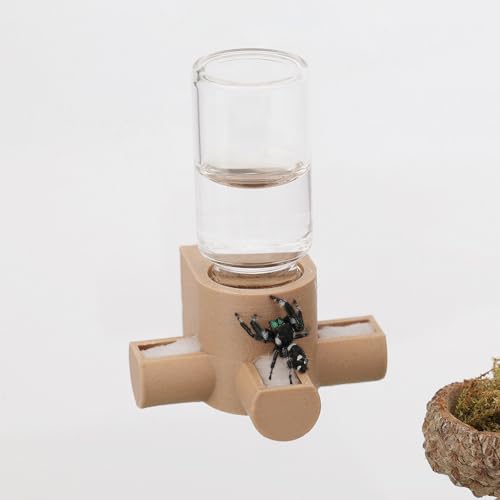 Daerky Jumping Spider Water Dispenser Magnetic Hanging Feeder Suitable for Jumping Spiders Tarantulas Praying Mantises Arboreal Animals and Other Small Animal Enclosure Accessories 5ML (Wooden)