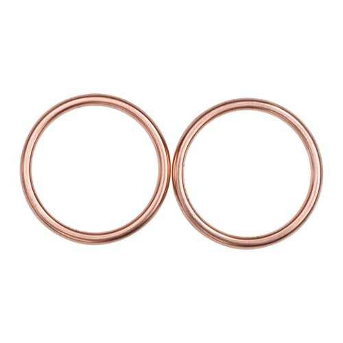 I[goCprCKXPbg Hon CBR250 CRF250 CBR300 CBF300 CB300 CMX300-REBEL300 CRF450 CRF1100 Hon ATV TRX450 TRX700XXɓK(2pcs)