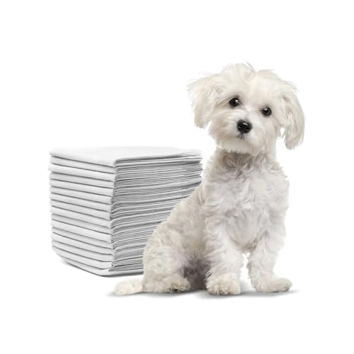 100 Tappetini Assorbenti per Cani 60x60 cm - Traversine...